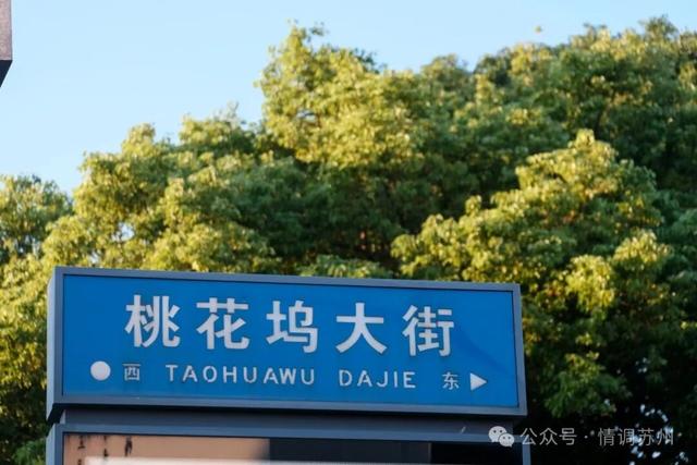 桃花坞不止有唐寅，还有苏州最原始的模样
