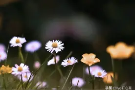 别把亲戚看得太重，亲戚关系，其实都很庸俗（人间清醒）图片