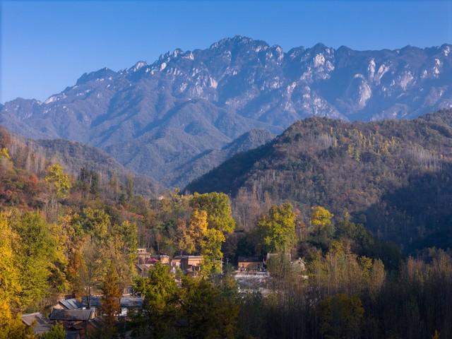 洛阳的秋天在这里封神！3条禅意路线，最后一条让摄影师舍不得走