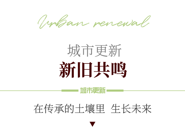 金螳螂 | 城市更新三城记