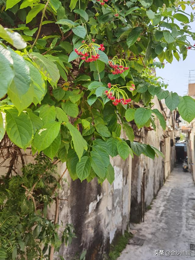 40km饶平到潮州 韩江原来是百姓纪念韩愈 双龙连续三年千里走双骑10