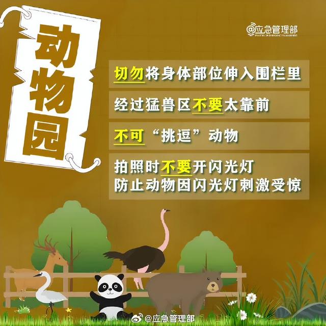 景区打卡，这份安全攻略请收好！