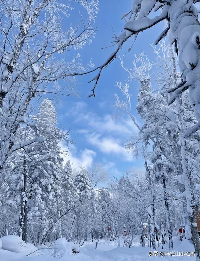 吉林老里克湖打卡攻略 | 走进现实版冰雪童话世界