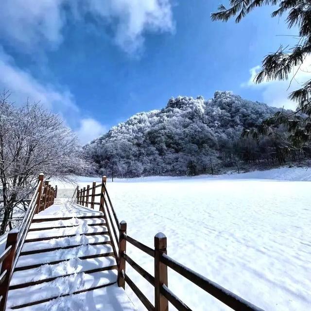 三场大戏+五大活动，宁强元旦狂欢倒计时！