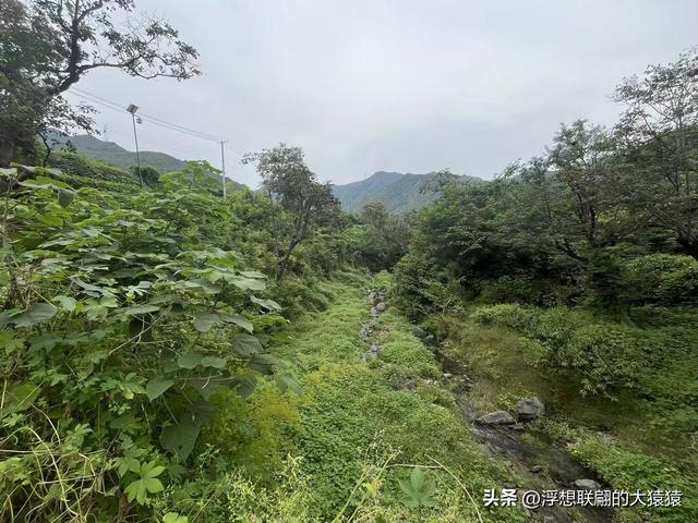 在邹平上回村可以攀爬摩诃峰，但俺没爬，俺买了农家菜打了山泉水