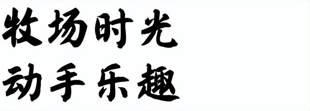 山野拾童趣！带娃来汉中这里，共享秋日亲子好时光~