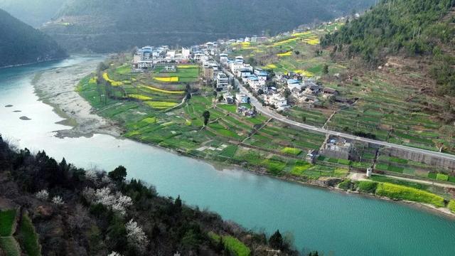 一位仙居人的旺苍情书：从仙居到旺苍，爱你是跨越千里的奔赴！