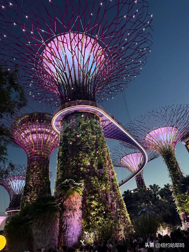 2025暑假 新加坡顺道游（二）