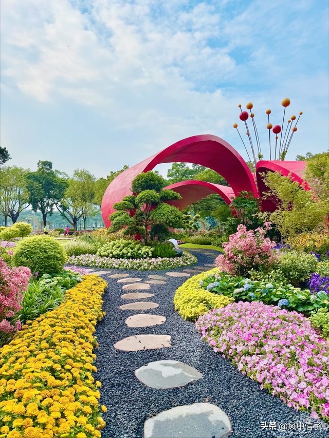 这个周末不如带娃去逛逛这里的花花