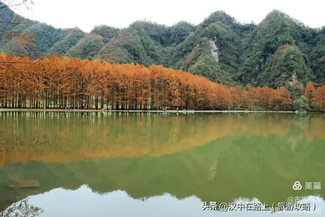 龙池秋色惹人醉