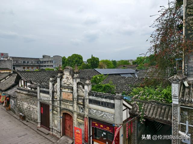 成都古镇（15）郫县唐昌古镇崇宁公园·大椿巷