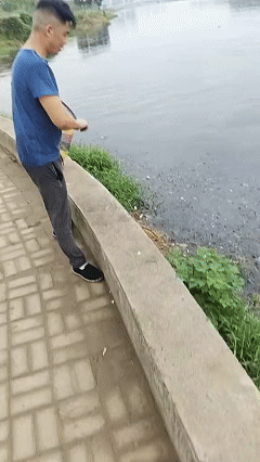 郑州暴雨后鲫鱼成灾，随手捞都是几十斤！网友：这鱼不能抓！