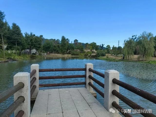 浙南最大的乡镇湿地公园原来在这里！