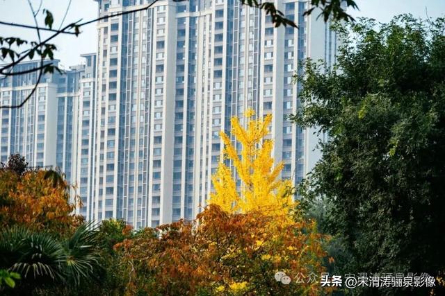 陕西渭南：天晴了 高新区时代广场秋色盎然