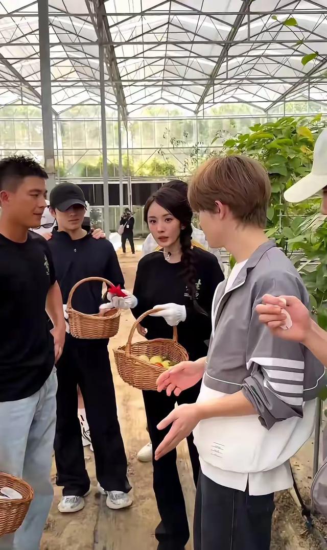 欧豪和杨幂现身菜园子，杨幂好漂亮，欧豪痞帅痞帅的，简直太养眼