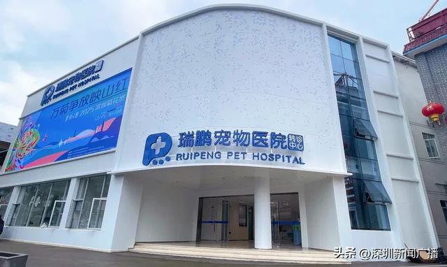 免费开放!持续21天!2025东湖公园菊花赏来啦~