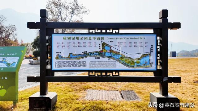 黄石新顶流打卡地！红杉林层林尽染 现实版“童话森林”