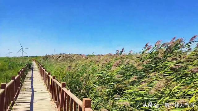 乌鲁木齐一柴窝堡湖湿地公园