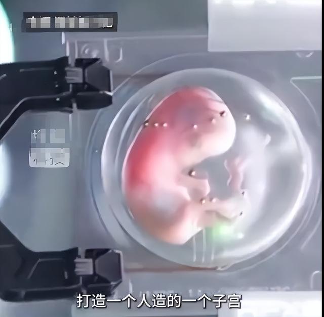 全球首个“机器人妈妈”，不足十万的 "AI 子宫"，将取代女人地位？