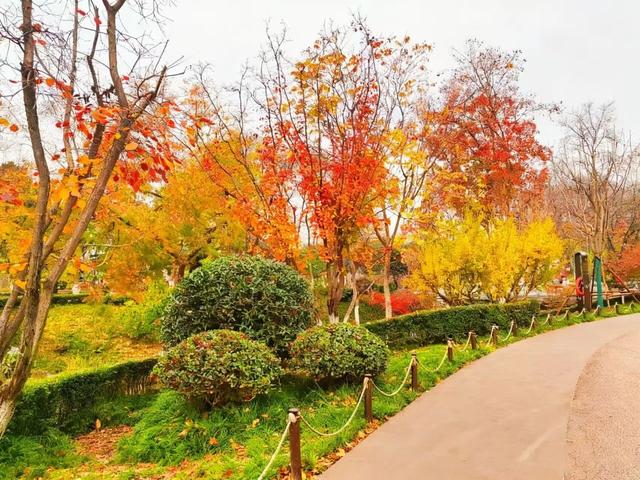 西安周末好去处——初冬8处宝藏公园免费又好玩！