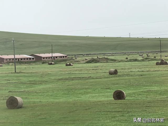 从满洲里前往额尔古纳市，分享公共交通乘车和住宿攻略（九）