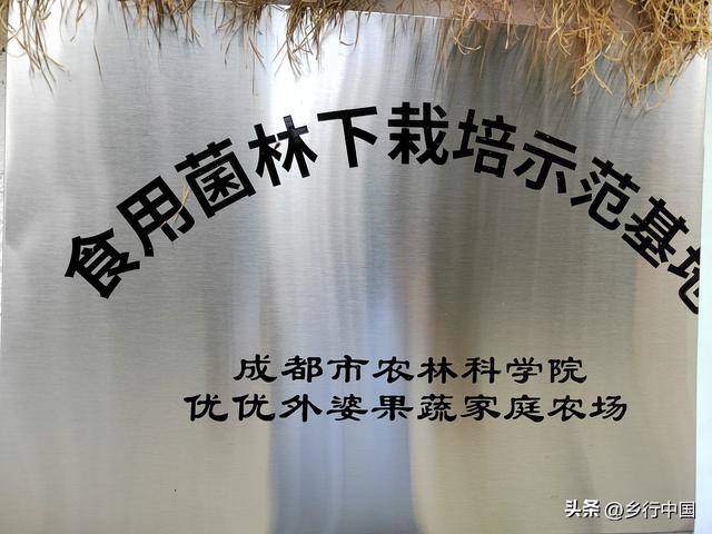 国庆中秋七天乐：到双流优优外婆农场过一个超治愈有温度田园假期