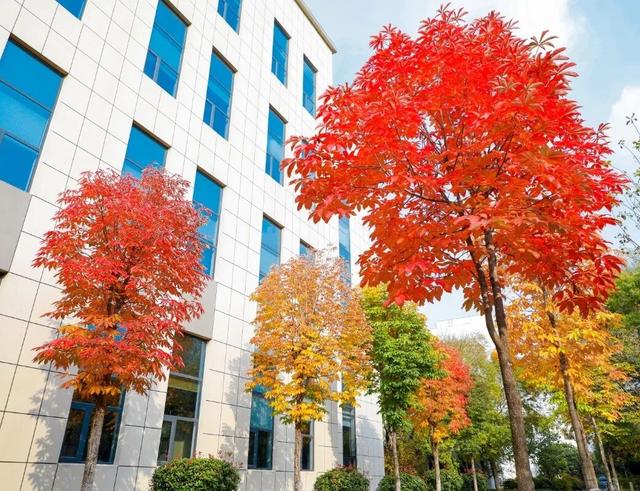 【多图预警！】这里不是5A景区，是鲁南制药！