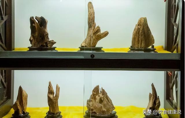 此物纯阳而升，气雄横行，被誉“通天彻地”，温胃散寒，温肾纳气
