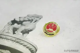 高质量服务打造中医药名都 南阳：多措并举护航中医药传承创新发展图片