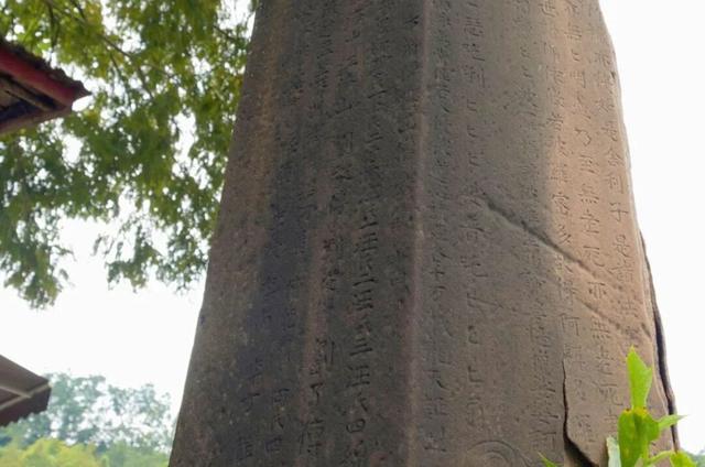 发现·公园城市 | 在成都，这个有两千岁古树的村庄也是长寿村