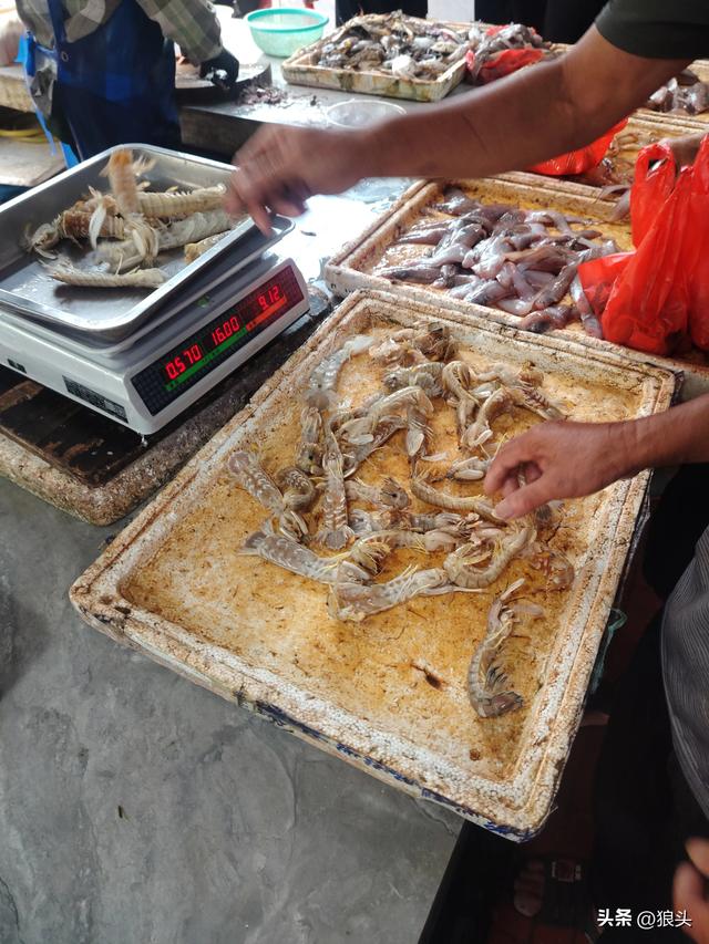 游记：名不经传的龙门镇