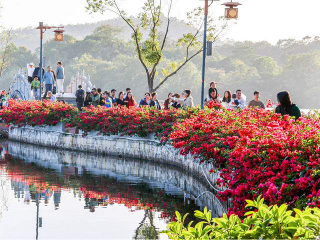 惠州进全球榜单！快来看看吧~