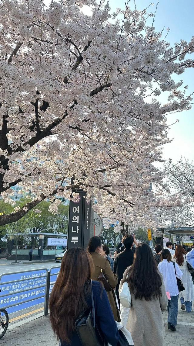 差距明显！中日韩一季度外国游客：日1000万，韩430万，中国呢？