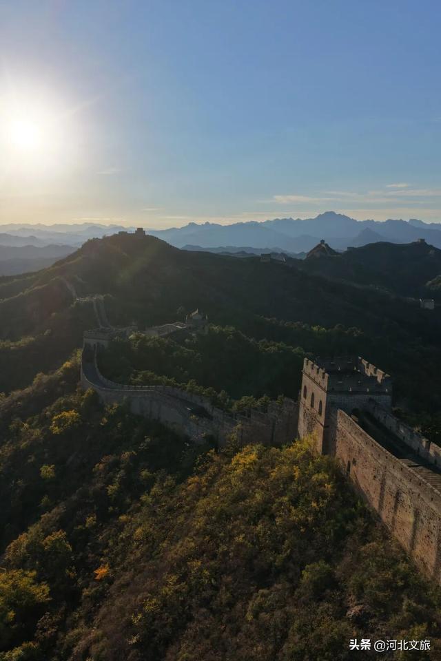 秋染金山岭，长城披红裳 ，醉美秋景正当时