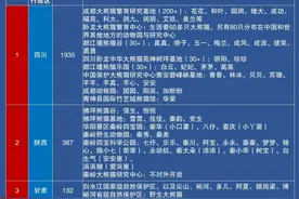 中国29省大熊猫分布数量排名图片