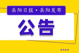 补充公告！岳阳市市直省级示范性高中公开揽才图片
