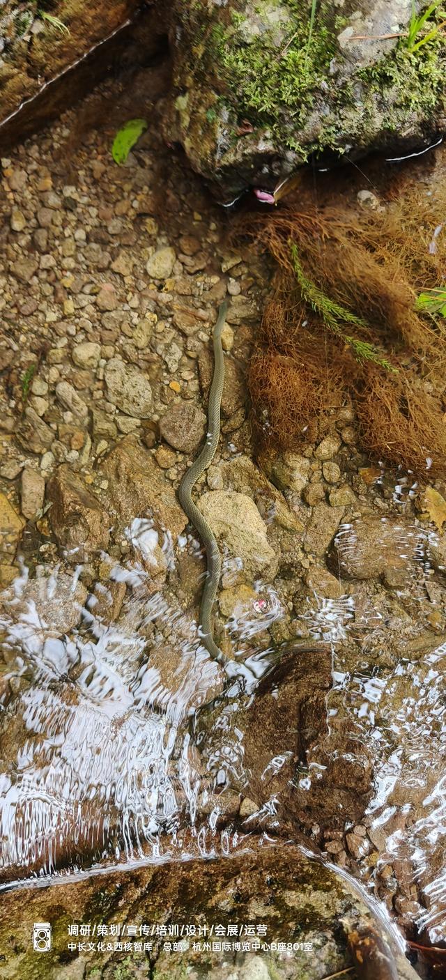 爱我江山：红岩顶上朝圣记