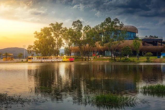 游在鹰潭｜学生搭子团秋季攻略！轻松玩转4大宝藏地「全球学子嘉游赣 奇绝鹰潭逍遥游」