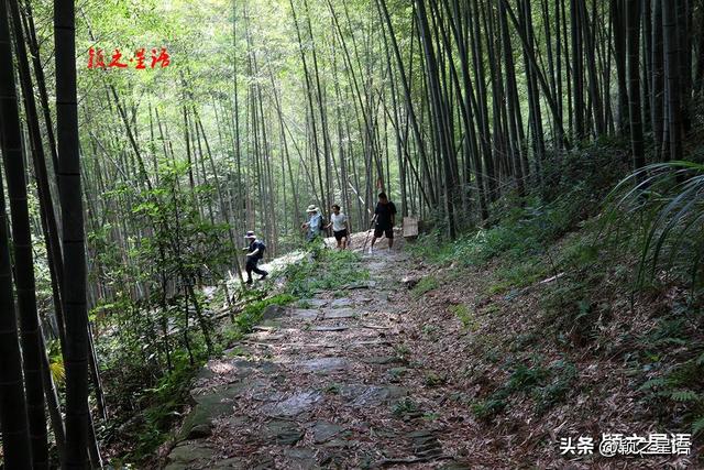 柘岭爱中古道，距离城区非常近，走过还想走