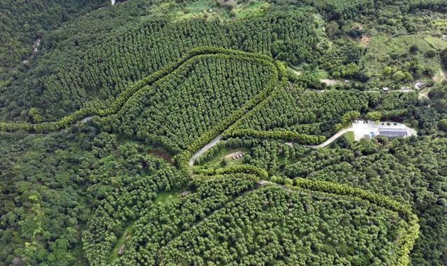 守护生态秘境——走进徽县三滩森林公园