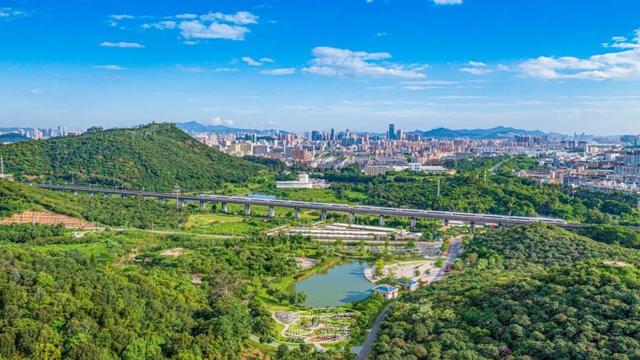 活力宝安城区指南｜山海蓝绿瞬间：山水连城，绿动宝安！