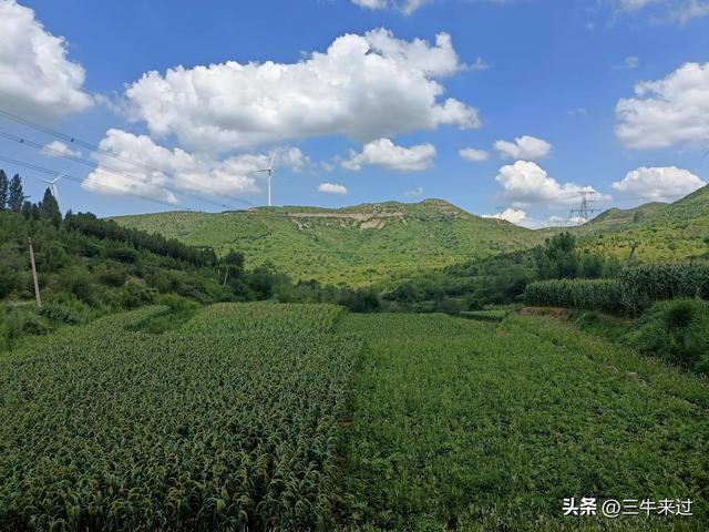无为在歧路，章丘东南行
