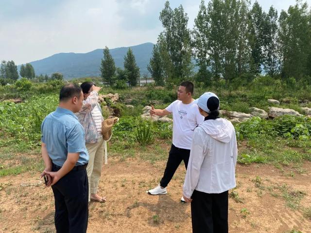 【工作动态】区文旅局2025年8月4日工作简报