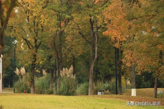 成都公园地图丨晒太阳不打挤的20个公园,东南西北全覆盖