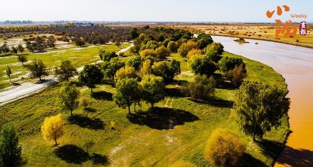【小陇画报·435期】民勤：千顷湿地卧戈壁 续写生态新画卷