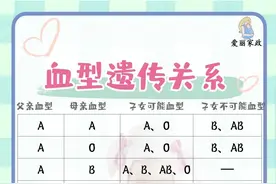 因为孩子的血型我和老公吵了一架图片