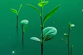 顶级视觉护眼-眼睛干痛养眼壁纸图片