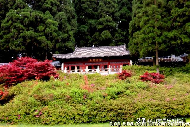 领袖峰及其它（江西之旅第八十五篇）