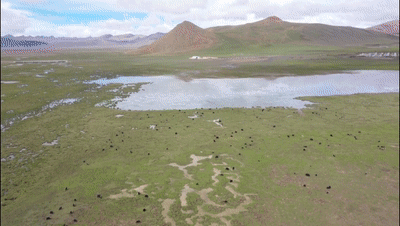 在措美遇见“意外”的美丽！