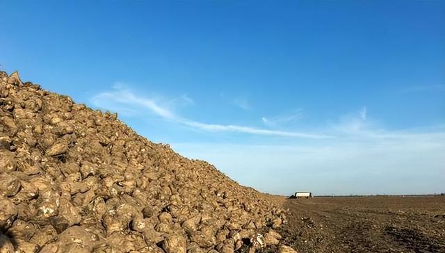 蒙古国大胆想法：拿400平方公里和中国换通道？想将稀土运往美国